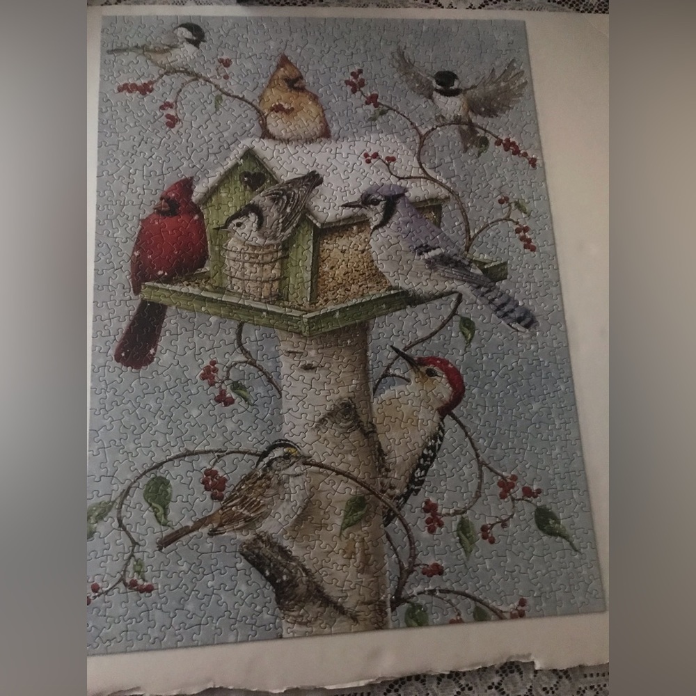 Winter Birds Jigsaw Puzzle
